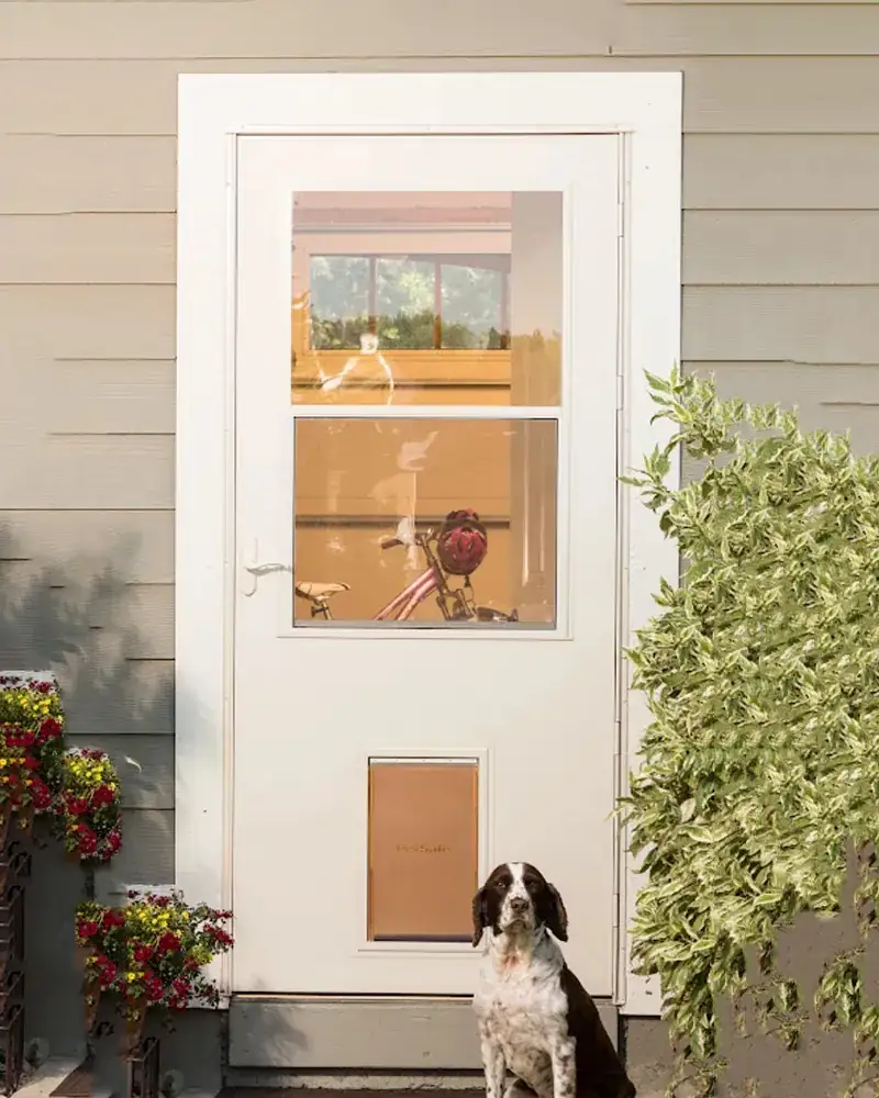 pet storm door