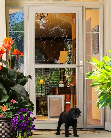 pet-doors-denver-colorado Pet doors denver colorado